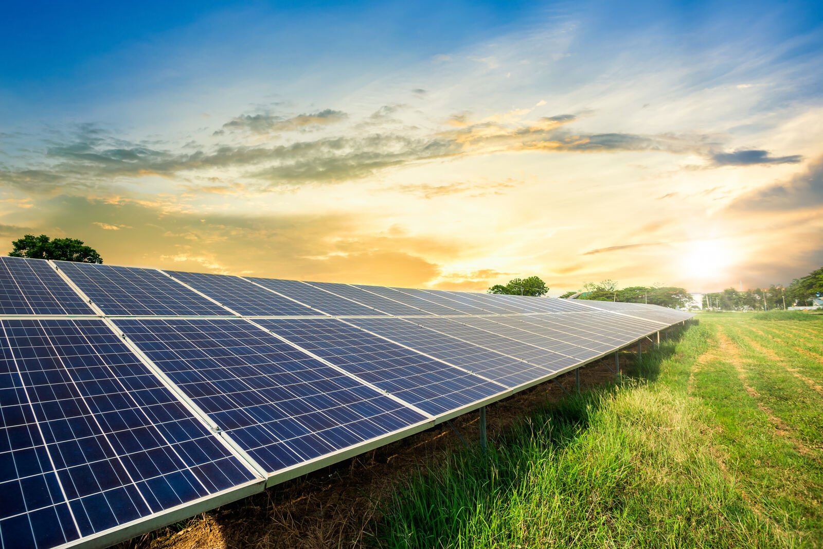 Solar panel array at sunrise